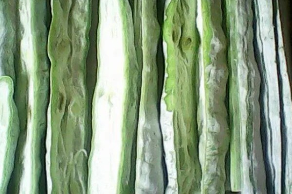 蛇豆的保存时间,冰箱冷藏可保存5-7天